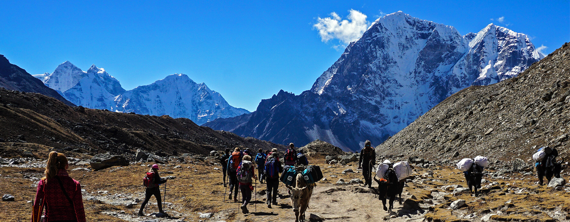 Trekking