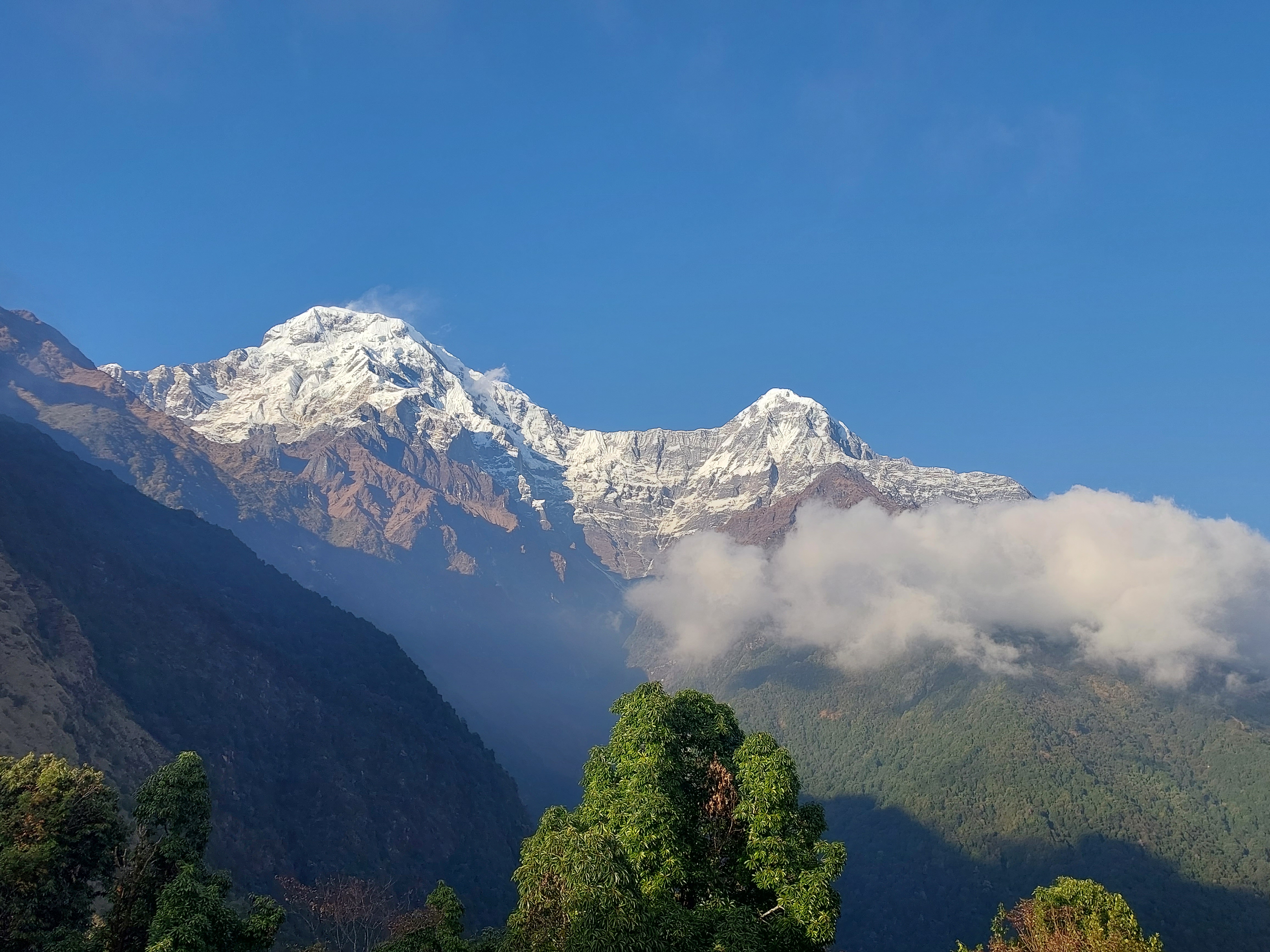 Mulde Hill Trek