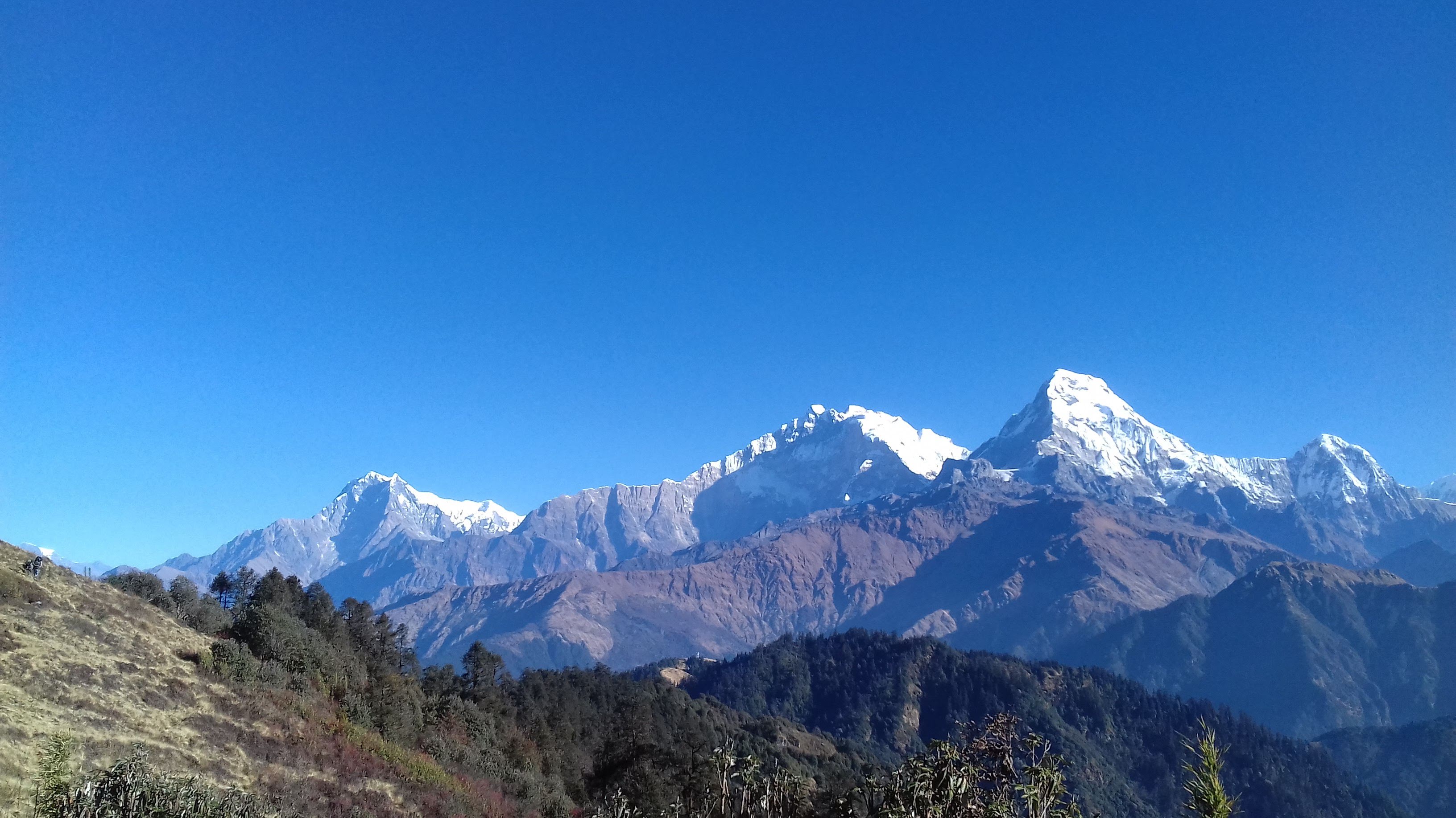 Khopra Ridge Trek