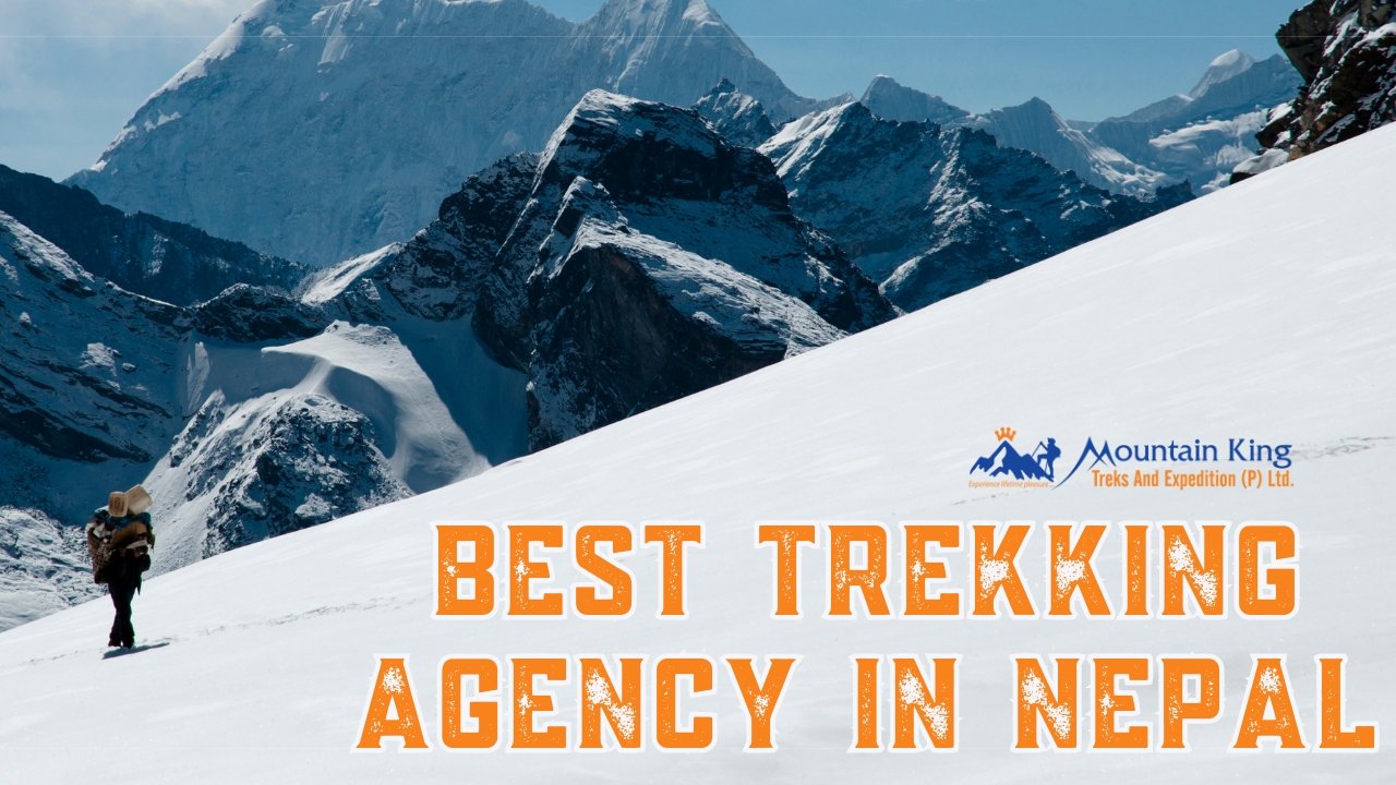 Best Trekking Agency in Nepal