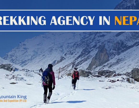 Trekking Agency in Nepal