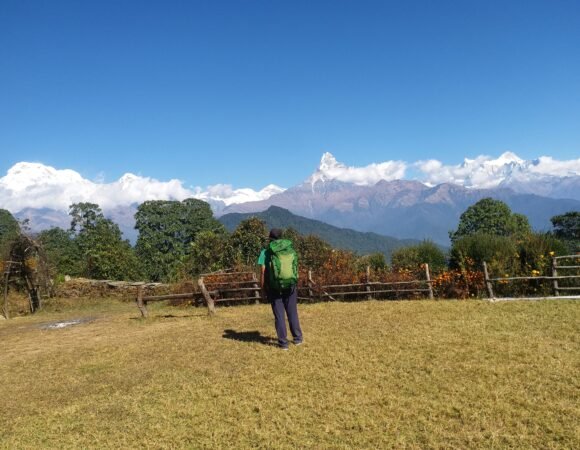 Nepal Discovery Tour: Culture, Nature, And Wildlife