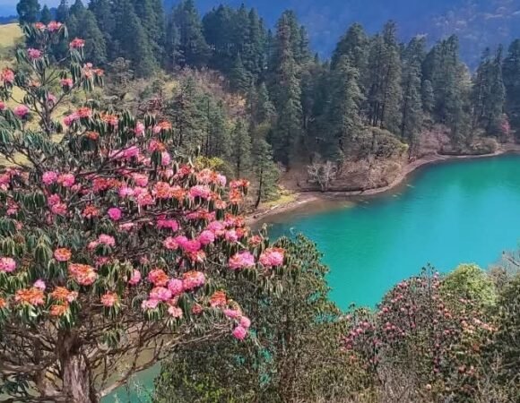 Khaptad Trek: Nepal’s Hidden Himalayan Paradise