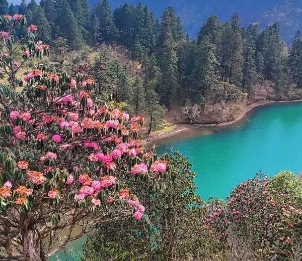 Khaptad Trek: Nepal’s Hidden Himalayan Paradise